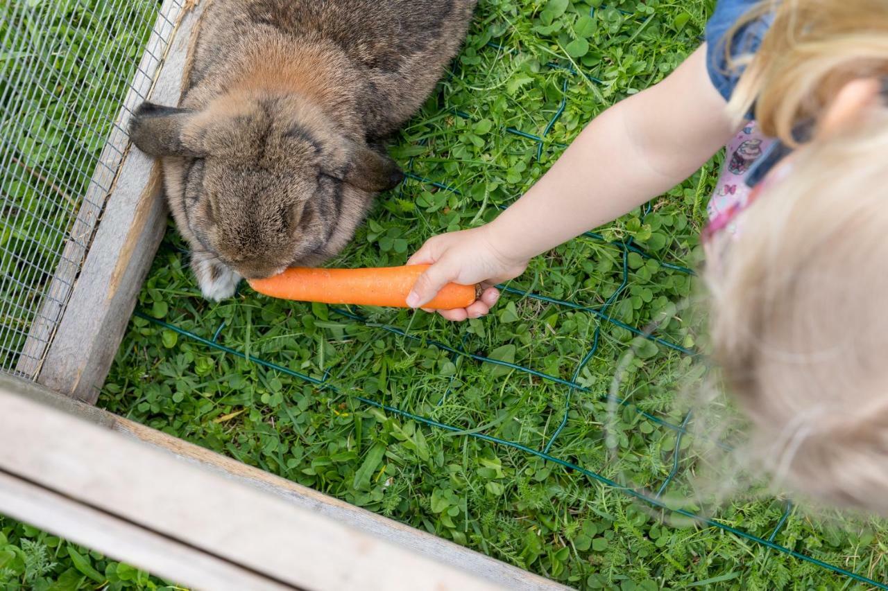 Hieserhof ノイシュティフト・イム・シュトゥーバイタール エクステリア 写真